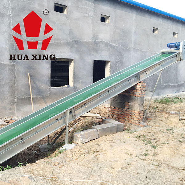 Powerful Clean Automatic Manure Removal System With Mure Transporting System