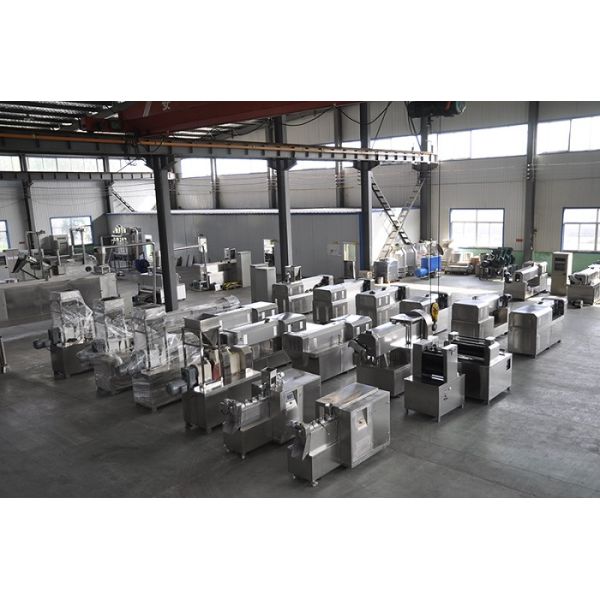 Full Automatic Floating Fish Feed Pellet Production Line 100-160kg/h