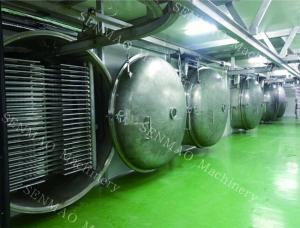 China PLC Control System Vacuum Drying Machine Round Fruit Chemical Freeze Dryer factory