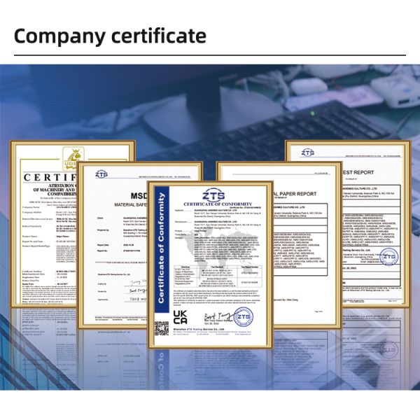 60cm Large Format DTF Printer all in one Solution with DTF Powder Shaker and Dryer