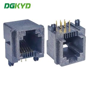 China DGKYD5523A1166IWA8DY5 full plastic light free RJ11 Ethernet connector 6P6C FR52 material on sale