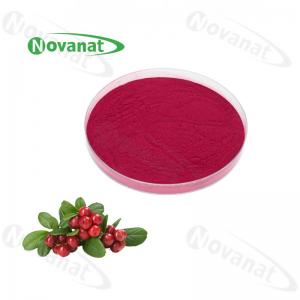 China Cranberry Concentrated Fruit Vegetable Powder / Pure flavor / Water Soluble / Clean Label factory