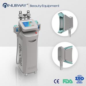 China Beat Selling Items cryolipolysis fat freeze sculptor liposuction slimming machine on sale
