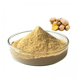 China Factory Supply Natural Water Soluble Natural Instant Ginger Powder , Ginger Extract Powder on sale