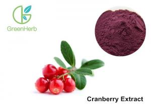 China Cranberry Standardized Extract 25% Anthocyanins , Cranberry Juice Extract factory