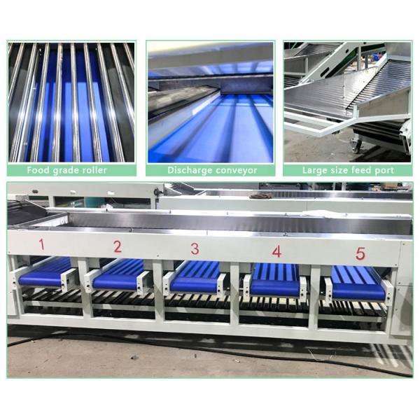 Fruit Weight Selecting Fruit Vegetable Processing Machine For Grading Sorting Fruit