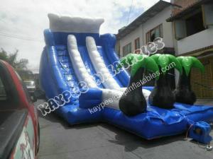 China Hot Sell Inflatable palm tree slide ,Inflatable water slide,inflatable wet dry slide factory