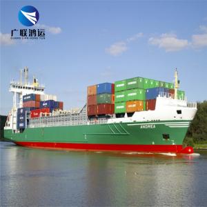 China LCL Sea Freight Forwarder China To NZ Boston Wellington Auckland Hamilton on sale