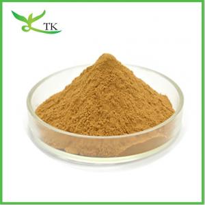 China EGB 761 Natural Ginkgo Biloba Leaf Extract Powder 20:1 factory