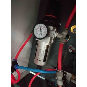 Automatic Die-Cutting and Creasing Machine with Stripping Station