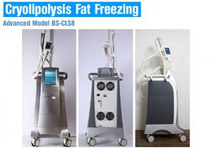 China Liposuction Cryolipolysis Body Slimming Machine , Fat Melting Machine CE Approved on sale