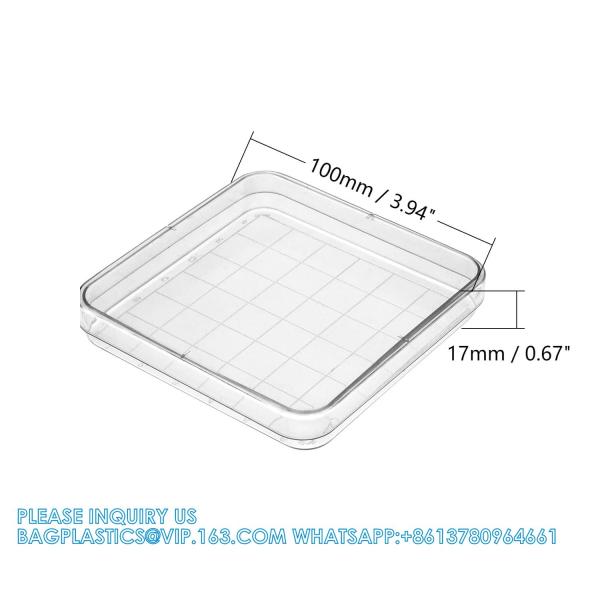 Polystyrene Square Integrid Petri Dish Container for School Lab Science Experiment Alphanumeric Gridlines