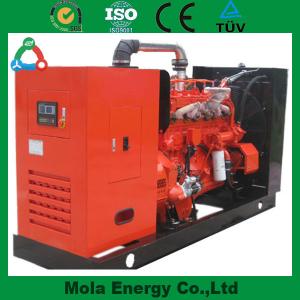 Hot Sale High performance biogas generator