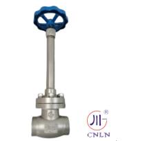 China DN10-100 Cryogenic Globe Valves For LNG LOX LIN LAr CO2 Long Stem Manual Globe Valve PTFE Valve CF8 CF3 factory