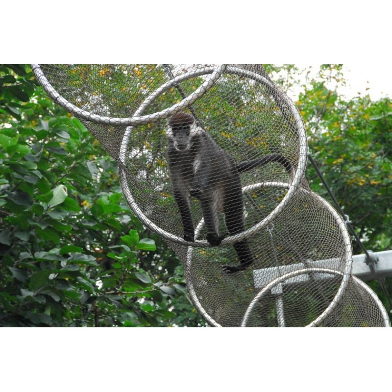 Stainless Steel Wire Rope Mesh for monkey