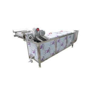 China 300kg/h 2.95kw Raspberry Vegetable Blanching Machine factory