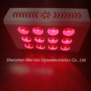 China 40W PDT Red Light Therapy Machines Anti Aging Decrease Inflammation factory