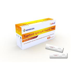 China ISO 15min Qualitative Detection Plasma Typhoid IgG IgM Rapid Test factory
