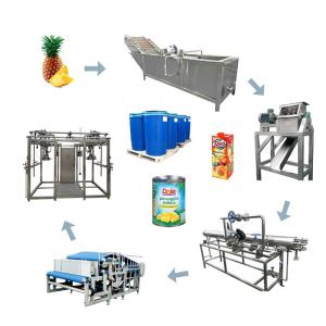 5T/H High Performance Pineapple Juice Processing Line SUS 304
