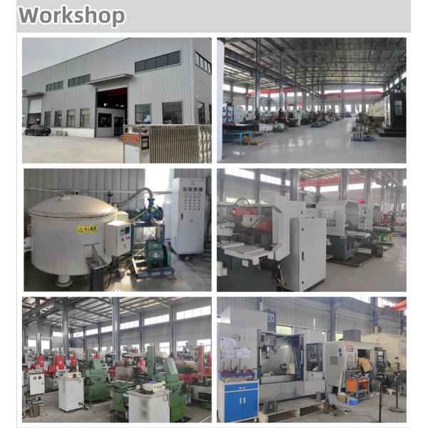 BLM Customized Solutions Twin Screw Extruder Parts Screw Elements Barrels Liners Shafts and Moulds