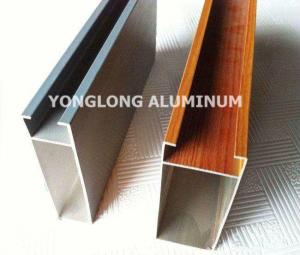 China Multifunctional Curtain Wall Aluminium Profiles For Decoration Rectangle Shape factory