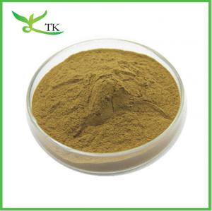 China Natural African Mango Seed Extract Powder 10:1 Mango Seed Extract Weight Loss Raw Material factory