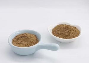 China 100% Natural Ginkgo Biloba Extract (GBE) Powder For Supplements factory