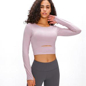 China Padded Hot Hollow Sports Long Sleeve Yoga Shirt Gym Plain Crop Top Womens Workout Shirts factory