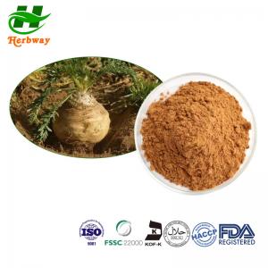 China Natural Maca Extract CAS 847361-88-0 Maca Root Extract for Men′ S Health Prodcuts factory