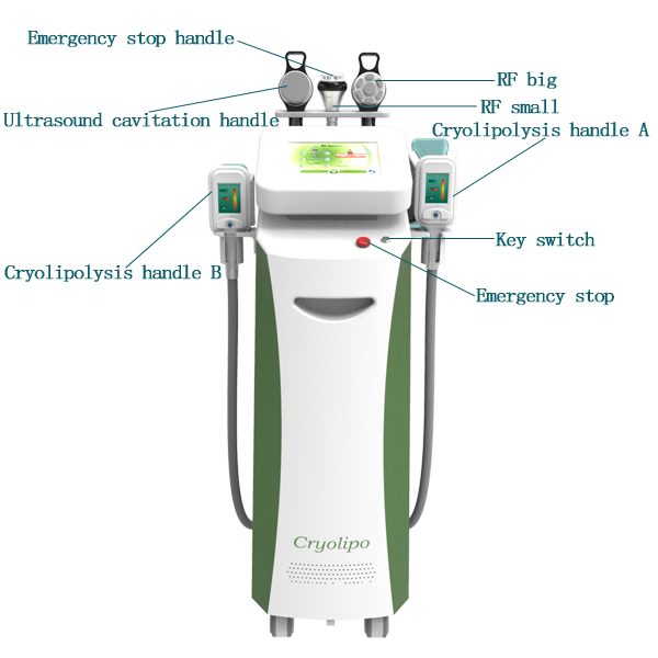 cryolipolysys laser slimming machine