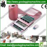 Plastic Expanded PE Foam Sheet Machine