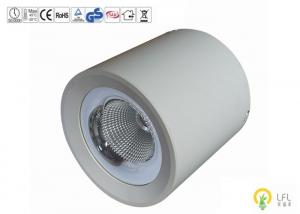 China D193*H193mm Ceiling Mounted LED Lights , 40W 4800lm Surface Mount LED Lights factory