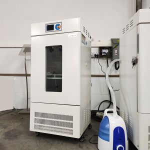 China Constant Environmental Test Chambers/High-Precision Temperature Heated Incubator factory