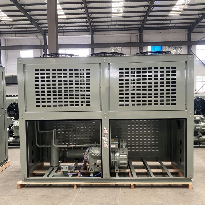 Custom Industrial Refrigeration Condensing Unit For Cold Storage Cooling System Air Cooling