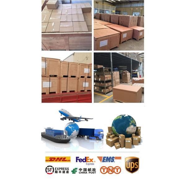 OEM Custom Sludge Spiral Shaftless Screw Conveyor in Wastewater Treatment Industry