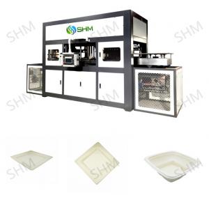 China Tableware Molded Pulp Machine Equipment Fully Automatic For Industrial factory