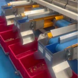 China Multi-grade Walnut Kernel Sorting Machine With Intelligent High Output Durable Industrial Sensors For Reliable Processing factory