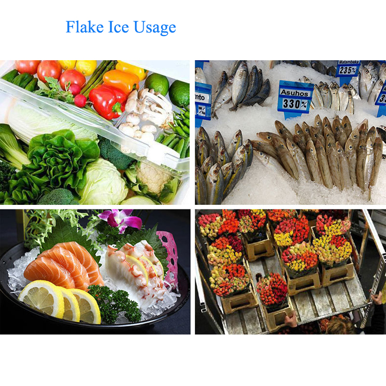 20 Tons Freshwater Flake Ice Machine Direct Cooling