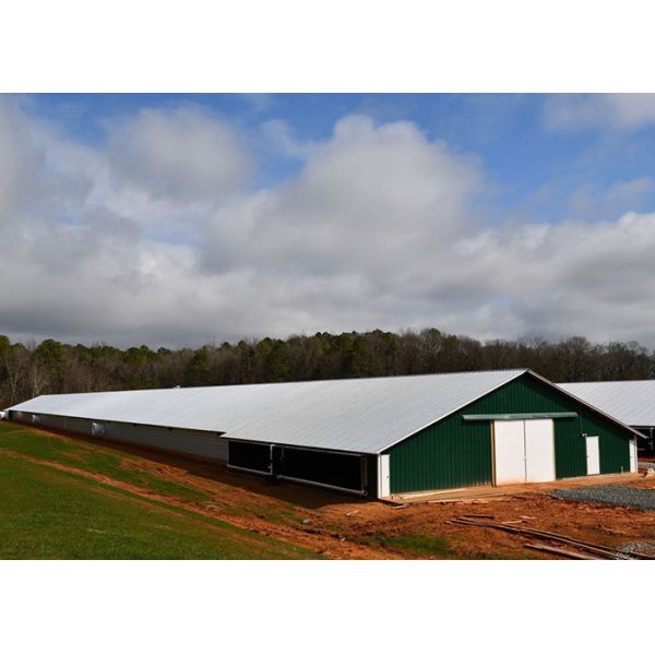 Multi Storey Prefab Steel Structure Building Chicken House