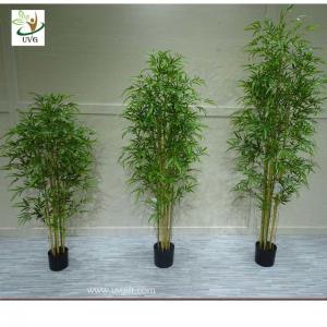 China UVG indoor bonsai silk artificial bamboo for office decoration PLT20 on sale