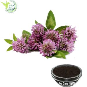 China Red Clover Natural Botanical Extracts 8%~20% Isoflavones Trifolium Pratense Extract factory