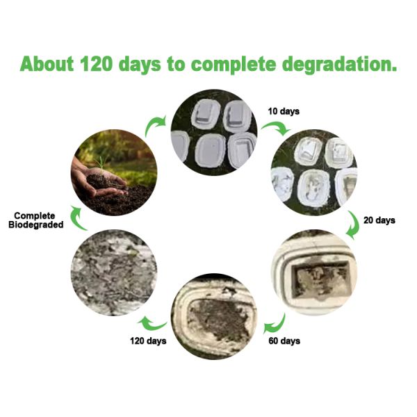 Electronics Mouse Custom Molded Pulp Inserts Paper Molded Pulp Packaging Tray Box