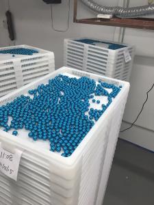 China Low Noise PLC Control Paintball Encapsulation Machine with Touch Screen factory