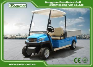 China Blue Electric Utility Golf Cart Hotel Buggy Car For 2 Person Battery Operated CE Approved factory