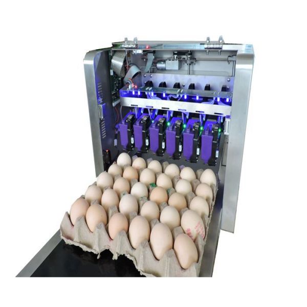 Eggs Batch Code Food Inkjet Printer , Continuous Laser Marking Machine