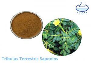 China Tribulus Terrestris Extract Powder Protodioscin CAS 55056-80-9 on sale