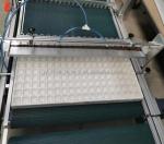 Precise Planting with 2023 Nursery Substrates Making Machine and Seedling