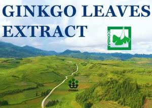 China 100% Natural Antioxidant Ginkgo Biloba Leaf Extract Brown Yellow Powder factory