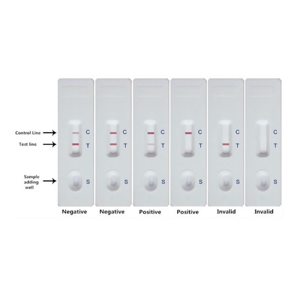 Trichothecenes T-2 10 ppb Mycotoxin Rapid Test Kit For Grain Feed 50 Tests/Kit