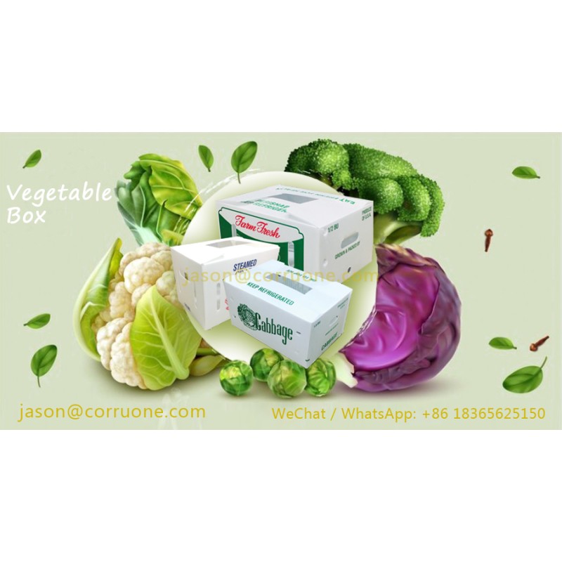 Correx Corn Vegetable Corrugated Boxes Corrugated Plastic Shipping Boxes